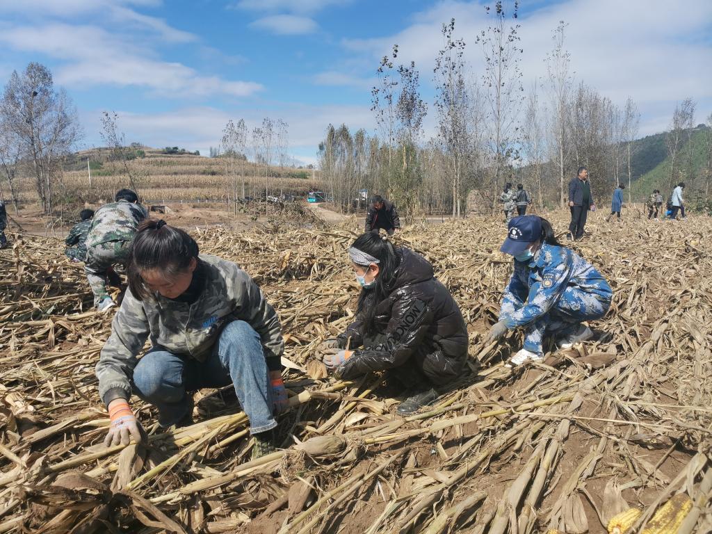 安泽县财政局最新项目，引领县域经济高质量发展