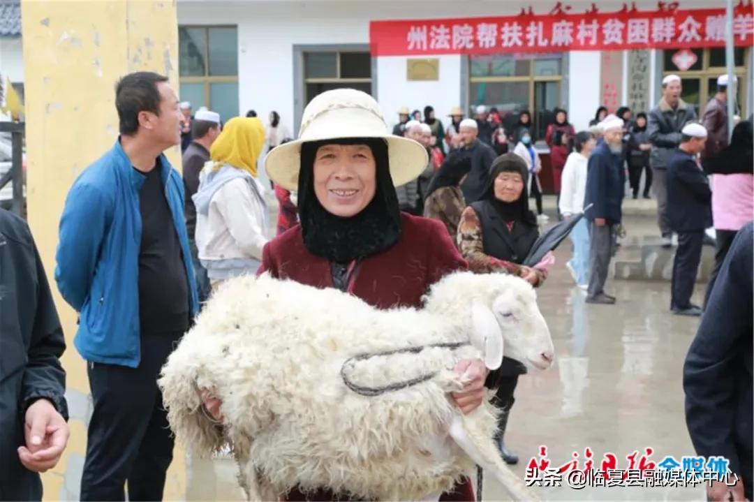 麻尼寺沟村委会发展规划概览，迈向未来的蓝图