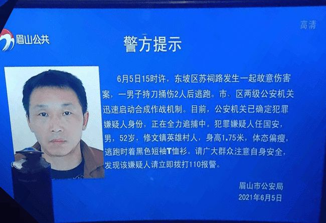 东坡区级托养福利事业单位人事任命揭晓及其深远影响